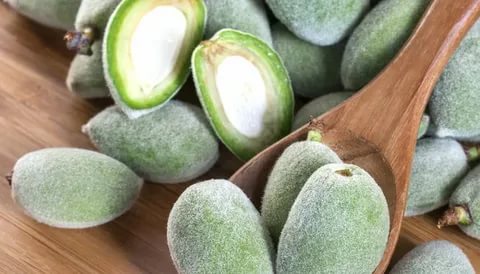 Çağla’nın Faydaları